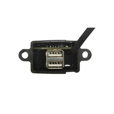 Avtomobil Usb modulida